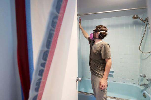 Environmental Consulting for Mold Prevention in Powell, WY