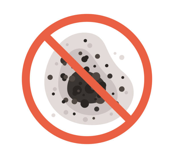 Best Airborne Mold Testing  in Powell, WY