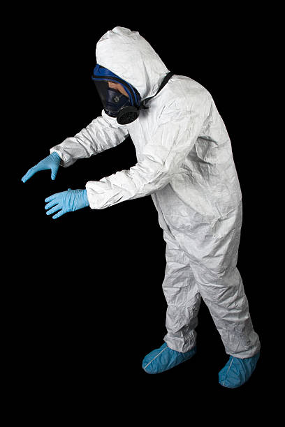 Best Industrial Mold Remediation  in Powell, WY