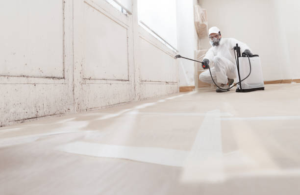 Best Mold Remediation for Healthcare Facilities  in Powell, WY